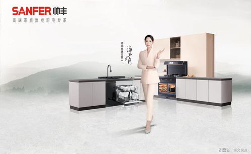 高考圓滿落幕，大國品牌帥豐電器用“帥豐618灶動音樂節(jié)”為你接風